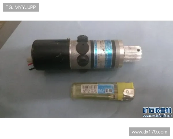 工程机械启动马达碳刷